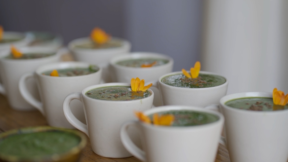 Nature To Nutrition Retreat